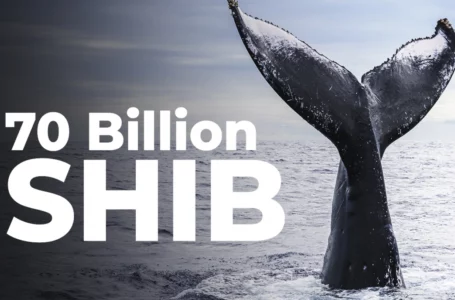 Massive 70 Billion SHIB Purchase Made by This Whale
