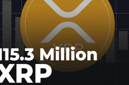 115.3 Million XRP Sent by Ripple and Large Exchanges to This Destination