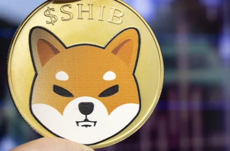 Shiba Inu Disappears from Top 3 of Biggest Whale Holdings: Details