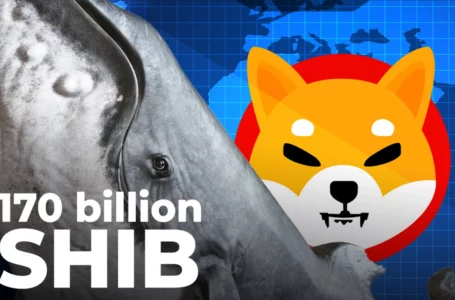 170.5 Billion SHIB Bought by These Whales in Past 2 Days: Report