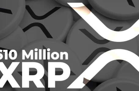 Record 610 Million XRP Moved by Ripple and Anon Addresses, Ripple Receives 150 Million XRP