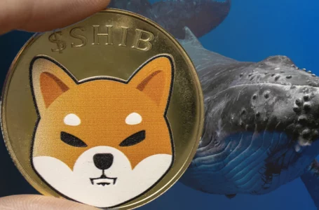 Whales Holding 1.19 Trillion SHIB Buy Trendy Coins, But This Investor Sticks to Shiba