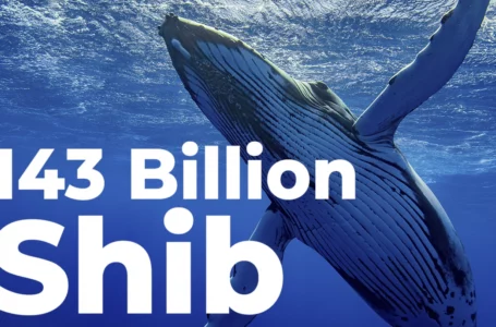 This Whale Buys 143 Billion Shiba, While Already Holding MATIC and LINK