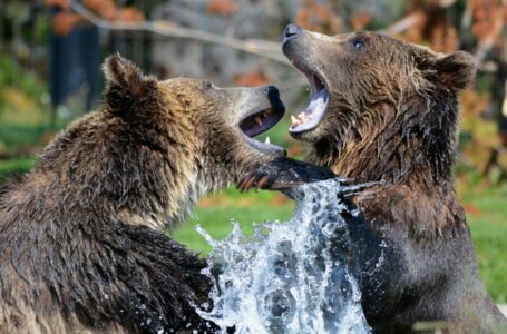 Highlights April 11: Market bearish, KNC crashes top 100