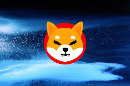 Is Shiba Inu a Good Investment? 5 Reasons We Think It Is