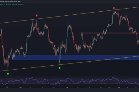 BTC Price Analysis: What’s the Next Critical Support if Bitcoin Loses $40K?