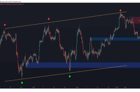 Bitcoin Price Analysis: BTC Rebounded At Key Support, Is The Bottom In?