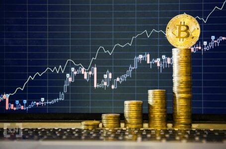 Willy Woo: Bitcoin (BTC) ‘Seems a Bit Undervalued’