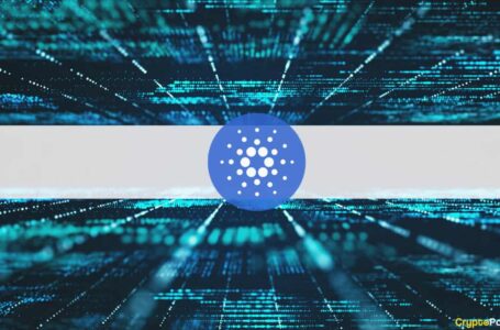 Cardano Founder Explains What Users Should Expect From the Upcoming Vasil Hard Fork