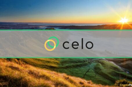 CELO Skyrockets to 3-Month High After Launching $20 Million Incentive Program