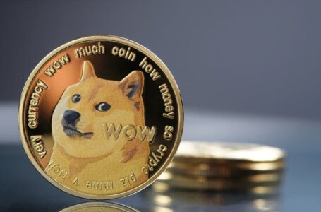 Here’s How Much Money Dogecoin’s Co-Creator Made Off DOGE