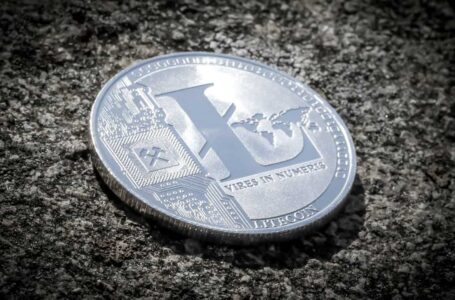 Litecoin Foundation and AntPool Formed a New Organization Focused on Dapps