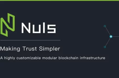 Nuls (NULS) Review: Everything You Need To Know