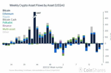 Crypto Outflows Cool Off Despite Weak Sentiment, Fear in the Market