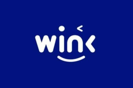 WINkLink (WIN) Review: Everything You Need To Know