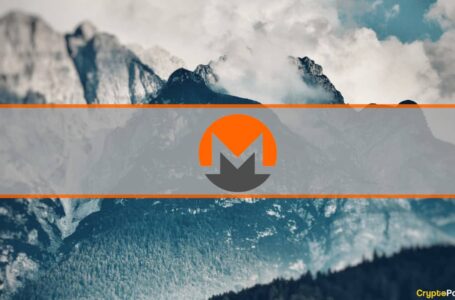 Weekend Watch: Bitcoin Maintains $42K, Monero at 3-Month High After 8% Spike