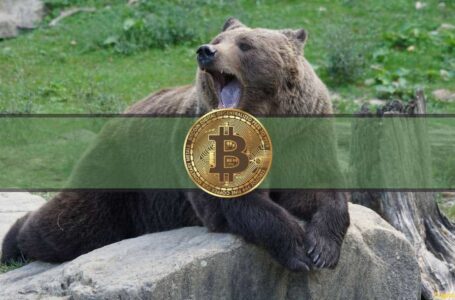 Bitcoin Corrects Below $44K as Markets Bleed $70 Billion: This Week’s Crypto Recap