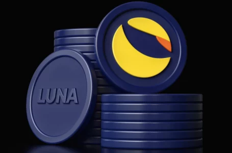 Luna Foundation Bitcoin Wallet Nears Tesla’s Stash, BTC Address Is the 29th Largest Wallet Today