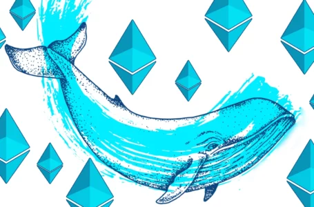 Whale Watching: A Deep Dive Into the Portfolios of the World’s Largest Ethereum Whales