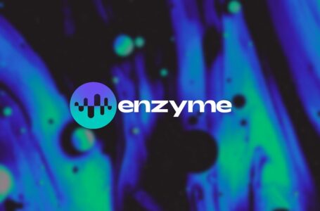 Enzyme (MLN) Review: All You Need To Know