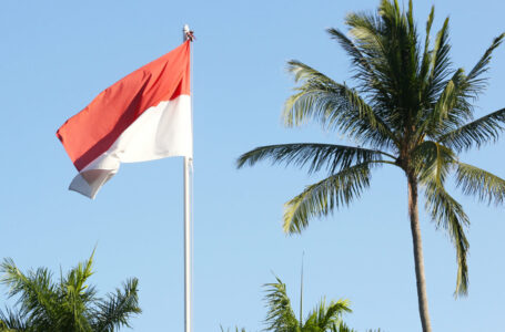 Indonesian Government Sets Crypto Tax at 0.1% to Be Levied Starting in May