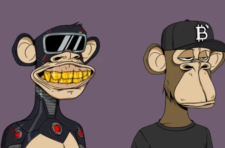 An In-Depth Look at the 5 Most Profitable Bored Ape NFT Traders of All Time