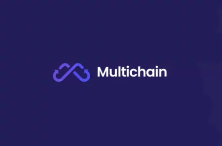 Multichain (MULTI) Review: All You Need To Know