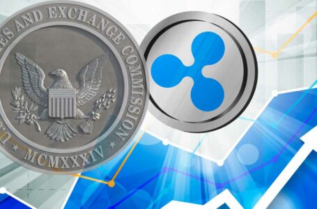 Ripple CEO: SEC Lawsuit Over XRP ‘Has Gone Exceedingly Well’