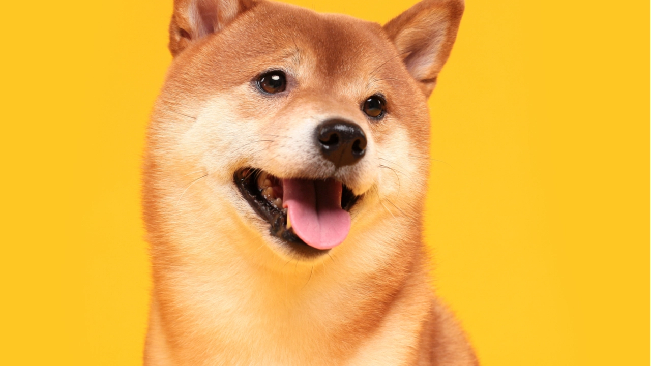 SHIB