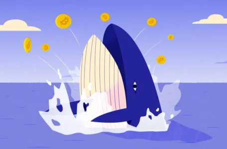 Top ETH Whales Accumulating SHIB, APE, MANA, Amidst Crypto BloodBath Says On-Chain Data