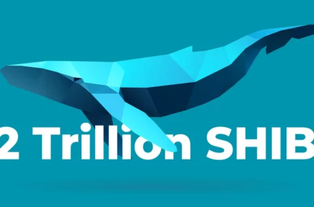 2 Trillion Shiba Inu Whales Grab $9 Million in APE: Report