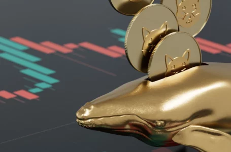 Shiba Inu Gets Back to First Place Among Top 100 Ethereum Whales