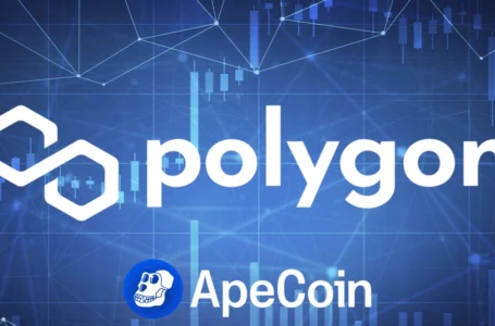 Polygon Now Supports ApeCoin with access to 19,000 dApps