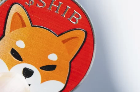 Shib Army Burns More Than 700 Million SHIB, Decreasing Token Supply Further
