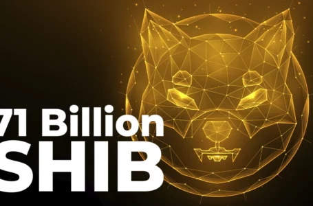 71 Billion SHIB Added by Major Investor as SHIB Returns as Whales’ Biggest Holding