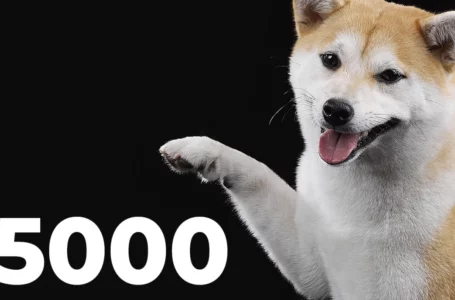 Shiba Inu Gains Thousands of New Holders in Days as Total Number of Landowners Rises Above 5,000