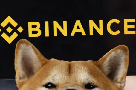 New Shiba Inu Trading Pair Lists on Binance: Details