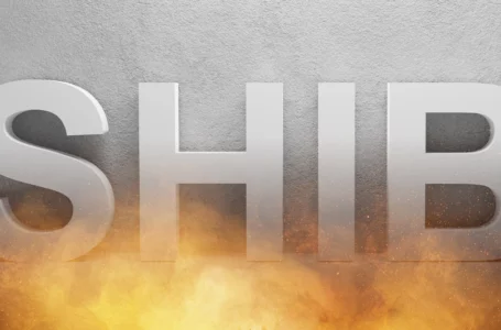 Record 25 Billion SHIB Burned by This New Burner in 2 Weeks: Details