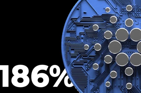 Cardano Faces Massive 186% Increase in Retail Interest