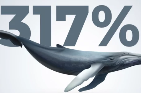 Trading Volumes Spike Above 317% as Shiba Inu Whales Increase Activity