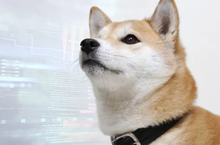 Shiba Inu Dev: Shiboshis and Lots on Deck in Upcoming Months