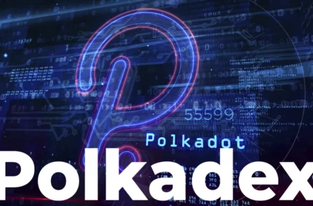 Polkadex Wins 16th Polkadot Parachain Slot Auction with Almost 1 Million DOT Contributed