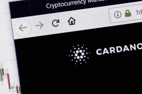 Cardano Reports Massive Spike in Number of Plutus Scripts on Network