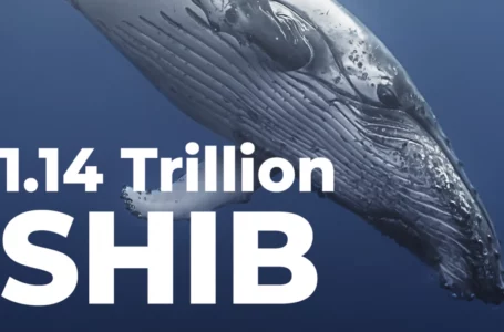 Whale Holding 1.14 Trillion SHIB Buys Another 57 Billion Coins