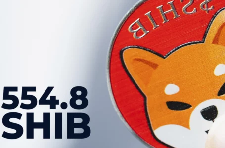 554.8 SHIB Burned in Past 48 Hours, 962 Million Over Weekend