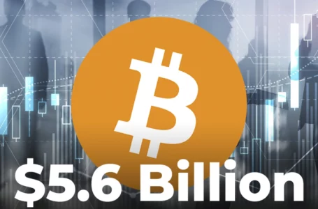 Traders Moved Record-Breaking $5.6 Billion Worth of BTC on Exchanges Amid Market Turmoil