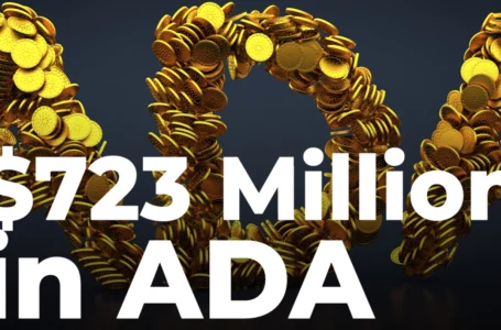 Cardano Treasury of $723 Million in ADA Is Decentralized and Is Only Going to Grow: Charles Hoskinson