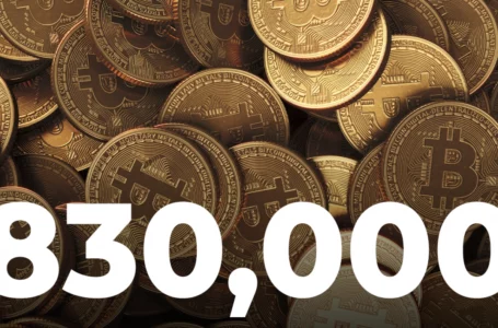 Bitcoin Addresses with 1 BTC Surpass 830,000 as Number of Retail Investors Grows