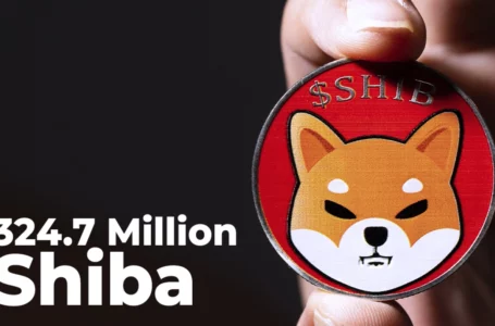 SHIB Army Burns 324.7 Million Shiba in Past 24 Hours, Report Says