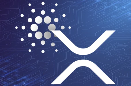 Cardano and XRP Beat Coinbase’s Whole Market Capitalization Following Earnings Report